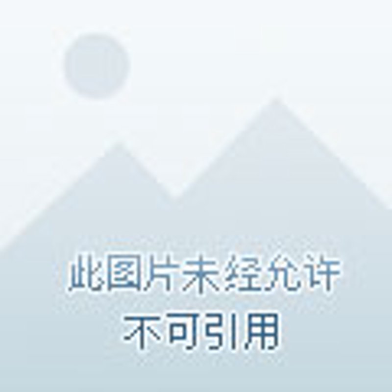 会展策划：创意点亮生活